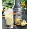 YUZU - Purée de fruits MONIN 1L