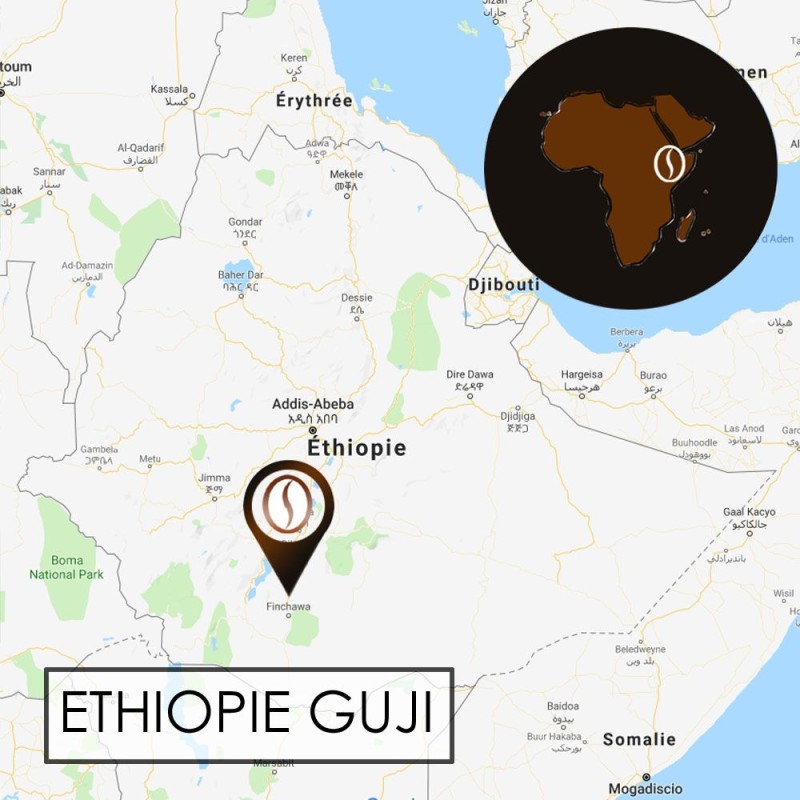 Ethiopie Guji Odo Shakiso Mancity - Café d' Afrique