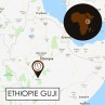Ethiopie Ayehu 250g - Café d' Afrique