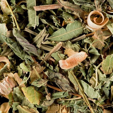 Tisane Du Berger - Infusion Vrac Dammann