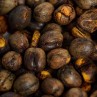 Panama Geisha Esmeralda Special 250g - Café d' Amérique du Nord