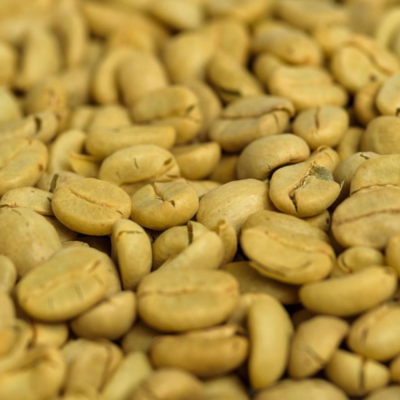 Panama Geisha Esmeralda Special 250g - Café d' Amérique du Nord