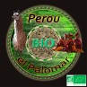 Pérou Bio 1 Kg - Café vert - non torréfié