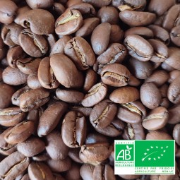 Perou Bio Palomar Alto Union - Café d'Amérique du Sud