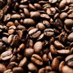 Salvador Espresso Blend by Sail - Café d'Amérique centrale