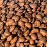 Bolivie Illamapu Bio - Café d'Amérique du Sud