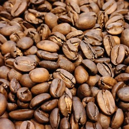 Mexique Blue Skull - Café d'Amérique Centrale