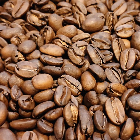 Mexique Blue Skull - Café d'Amérique Centrale