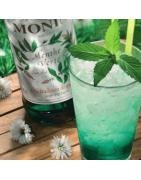 Sirops MONIN, pour préparer de délicieux cocktail