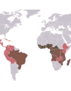 Notre sélection de café par pays. Amérique centrale, Amérique du sud